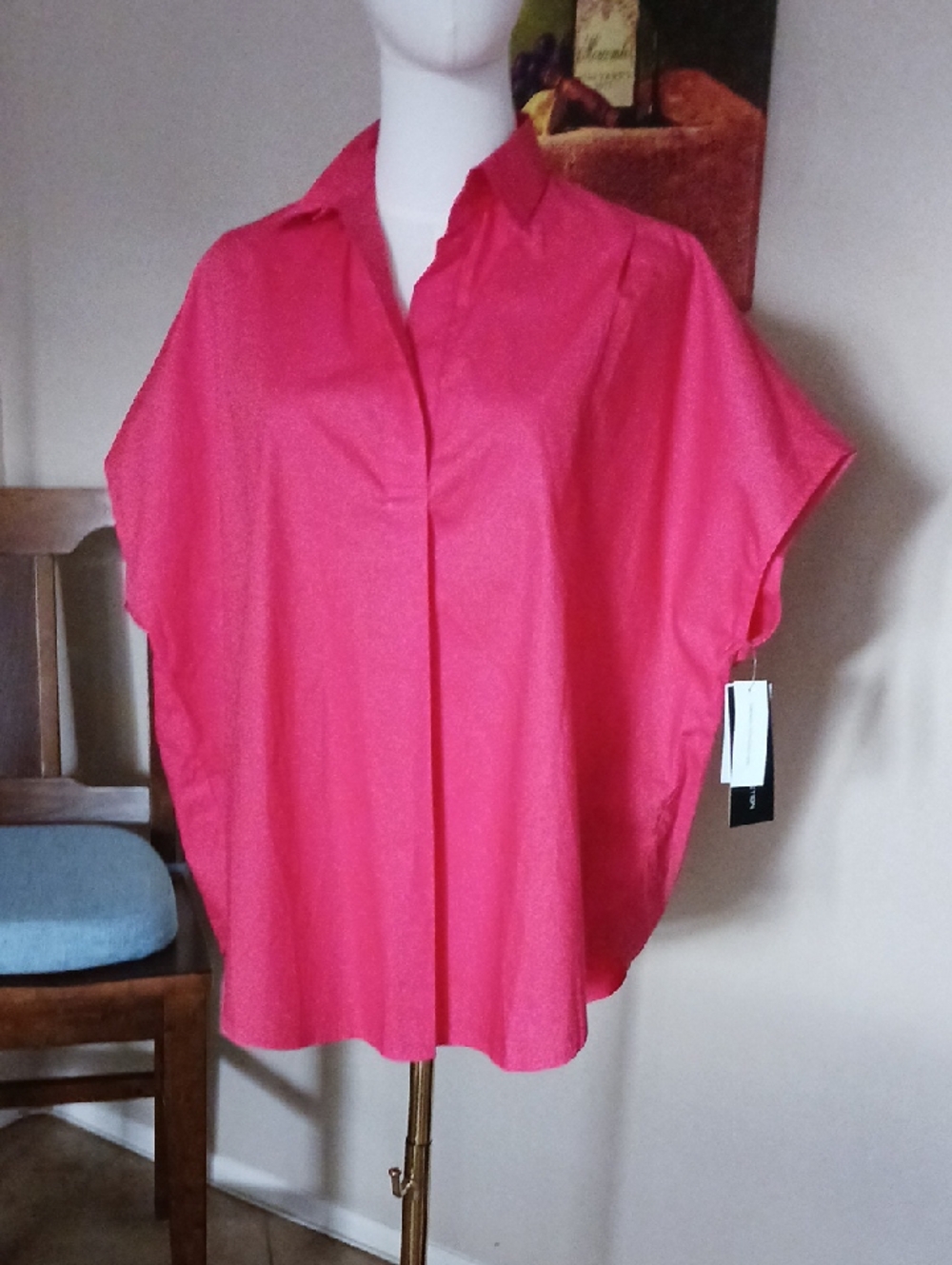 NWT- French Connection Rhodes Poplin Popover Shirt